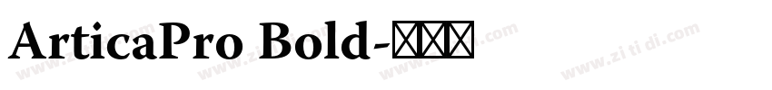 ArticaPro Bold字体转换